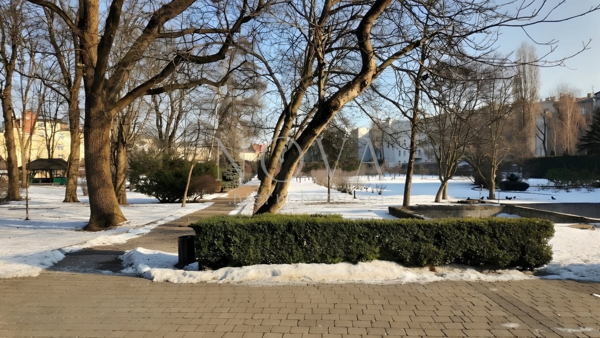 Zdjęcie 19